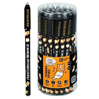 Ручка гелевая "Пиши-Стирай" ФЕНИКС "Корги" 71650 синяя,0,5мм,корп.софт-тач