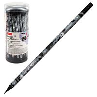 Карандаш ч/гр. с ласт. ХАТ "Dark Academia" 082775 НВ,кругл.корп.,чёрн.дерево,заточ.,асс.,пласт.туба