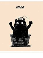 Тетрадь предм. 48л. Проф-Пресс "Bad cat-История" 48-9869 тисн.холст (клетка)
