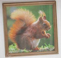 Фоторамка Сосна Питер 20*20 3N88 орех,ширина багета-16мм