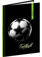 Дневник 1-11кл. Проф-Пресс тв.обл. "Футбольный мяч-29" Д48-9577 глянц.лам.+наклейки