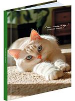 Записная книжка А5 160л. Проф-Пресс "Милые коты-5" 160-9422 тв.обл.,глянц.лам.,клетка