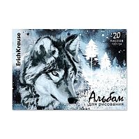 Альбом для рис.30л. EK склейка "Серый волк" 61474