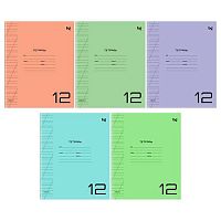 Тетрадь 12л. (кос.лин.) BG пластик.обл. "Однотонный. Микс" 62119 асс.