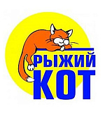Рыжий кот