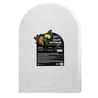 Холст грунт. на подрамнике 20*30см ФЕНИКС "Лимоны" 72843 арочный,белый,хлоп.100%,280г/м2,сред.зерн.