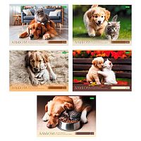 Альбом для рис.24л. ХАТ "Хвостатые истории" ECO на скобе,асс.