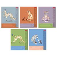 Тетрадь 18л. (клетка) ХАТ "Борзый нос" асс.