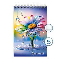 Блокнот ПС 48л. "Ромашка 4" А6 спираль Бг48/23-4