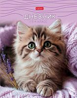 Дневник 1-4кл. ХАТ тв.обл. "МяУсы" 35801 глянц.лам.