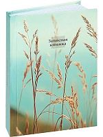 Записная книжка А6 160л. Проф-Пресс "Aesthetics-1" ЗК160-0084 тв.цв.мел.обл.,глянц.лам.,клетка