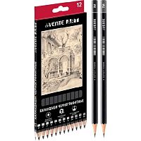 Карандаш ч/гр. deVENTE "Art" 5030204 (12шт) шестигр.,чёрн.корп. (5Т,4Т,3Т,2Т,Т,ТМ-2,М,2М,3М,4М,5М)