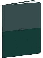 Дневник 1-11кл. Проф-Пресс тв.обл. "Оттенки зелёного" Д48-9486 мат.лам.