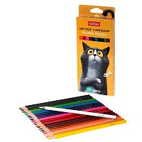 Карандаши 24цв. ХАТ "Пушистый философ" 094021 трёхгр.,заточ.,к/к,е/подвес