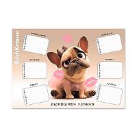 Расписание уроков А4 EK "Frenchie" 65308