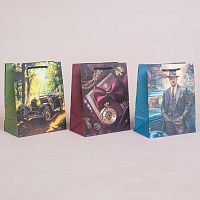 Пакет подар. Микрос 18*23см Мужской Ч55808 лам.матовый микс