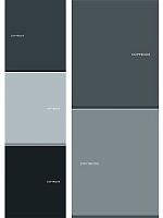 Тетрадь 48л. (клетка) Проф-Пресс "Оттенки серого-2" Т48-0130 цв.мел.обл.,софт-тач,асс.