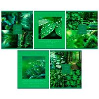 Тетрадь 48л. (клетка) ЭКСМО "Природная красота" ТК2Л489667 мел.карт.,твин-лак