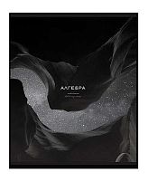 Тетрадь предм. 48л. ПЗБФ Премиум "Моно-Алгебра" 020521мат.лам.,эмбоссиров.(клетка)