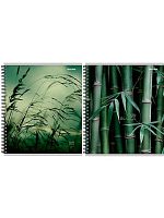 Тетрадь 80л. (клетка) Проф-Пресс спираль "Зелёная природа" 80-8965 цв.мел.обл.,асс.