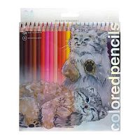 Карандаши 24цв. BV CuteFriends "Кот манул" 30-0053/01 PET-короб.