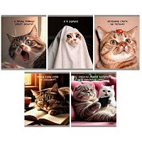 Тетрадь 48л. (клетка) ЭКСМО "Ох уж эти котики" ТКЛ489665 мел.карт.,выб.лак,мат.лам.