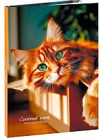 Записная книжка А5  80л. Проф-Пресс "Милые коты-4" 80-9411 б/лин.,тв.обл.,глянц.лам.,лён