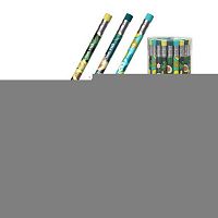 Карандаш ч/гр. с ласт. EK "Avocado" 56008 трёхгр.,HB,грифель 2,2мм,асс.