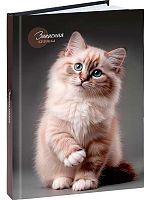 Записная книжка А5 160л. Проф-Пресс "Красивый кот-1" 160-9424 тв.обл.,глянц.лам.,клетка