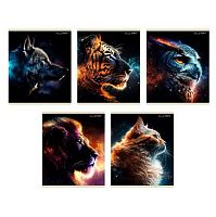 Тетрадь 48л. (клетка) ЭКСМО "Космические животные" ТК2ЛФ489178 мел.карт.,твин-лак,фольга