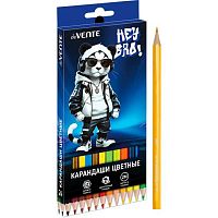 Карандаши 24цв. deVENTE "Hey Bro" 5024621 шестигр.,2М,гриф.2,8мм,к/к