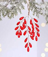 Ветка декоративная "Волшебство ночи" 916-1448 красная,20см