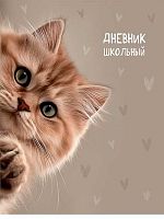 Дневник 1-11кл. Проф-Пресс "Забавный котик" Д40-9514 на скобе