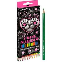 Карандаши 18цв. deVENTE "У меня лапки" 5023622 шестигр.,2М,гриф.2,8мм,к/к