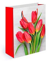 Пакет подар. (M) "Красные тюльпаны" 15.11.01726 мат.лам,18*22,7*10см