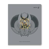 Тетрадь предм. 48л. SVETOCH пластик.обл. "Архивариус-История" Т290 (01876) тисн.фольг.(клетка)