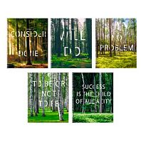 Тетрадь 48л. (клетка) ЭКСМО спираль "Done!" ТС2Л488453 мел.карт.,твин-лак,асс.