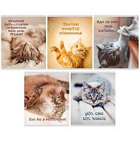 Тетрадь 40л. (линейка) ЭКСМО "Кото-терапия" ТЛ409619 мел.карт.,асс.