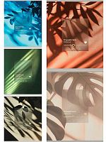 Тетрадь 48л. (клетка) Проф-Пресс "Слушай своё сердце" 48-5588 цв.мел.обл.,софт-тач,тисн.фольг.асс.