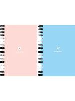 Записная книжка А6  80л. Проф-Пресс спираль "Нежные цвета" 80-9340 цв.мел.обл.