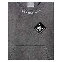 Дневник 1-11кл. ФЕНИКС тв.обл. "Фразы с характером" 72805 лам.софт-тач вельвет