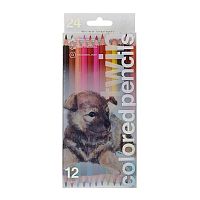 Карандаши двухстор. 12шт.-24цв. BV CuteFriends "Щенок" 30-0080/01 шестигр.,к/к