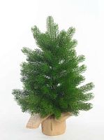 Ёлка-сосна  60см литая зелёная ФРФ 163.11