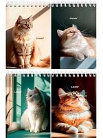 Блокнот А6  40л. Проф-Пресс спираль "Солнечные котики" Б40-7019 цв.мел.обл.,офс.,клетка,асс.