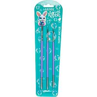 Набор кистей  3шт. deVENTE (белка №1,3,6) "Little Rabbit" 8072610 дерев.ручка,карт.блистер