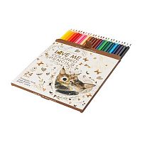 Карандаши 24цв. BV "Love Me. Котики приносят счастье" 30-0156 трёхгр.,к/к