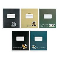 Тетрадь 18л. (линейка) ФЕНИКС "Герои с характером" 70910 выб.уф-лак,мел.карт.,асс.