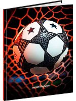 Дневник 1-11кл. Проф-Пресс тв.обл. "Футбольный мяч-24" Д40-9531 глянц.лам.