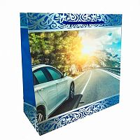 Сумка Санвест картон 25*25 Мужской. Автомобиль 17110