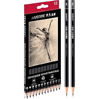 Карандаш ч/гр. deVENTE "Art" 5030203 (12шт) шестигр.,чёрн.корп.(2Т,Т,ТМ-2,М,2М,3М,4М,5М,6М,7М,8М)